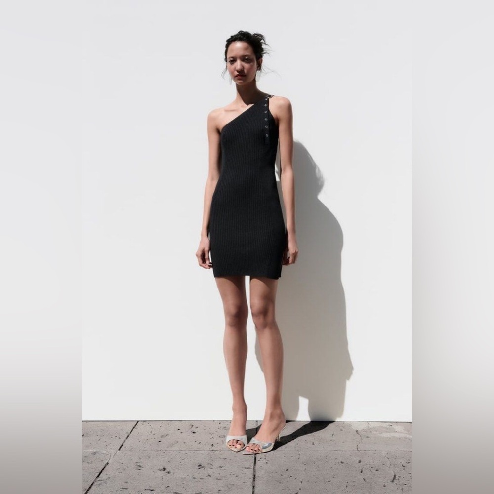 Zara Knit Mini Dress
